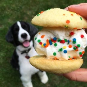 Sugar Cookie Ice Cream Sandwich